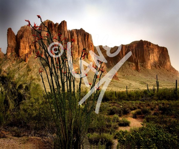 ARIZONA Lost Dutchman State Park